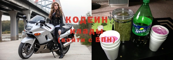 гидра Вяземский