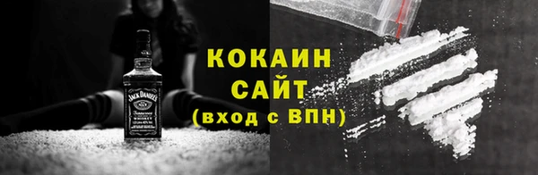 гидра Вяземский