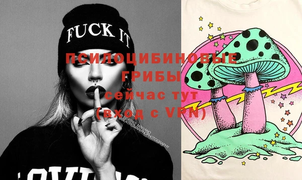 гидра Вяземский