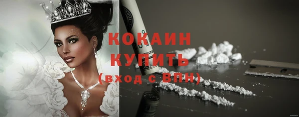 гидра Вяземский