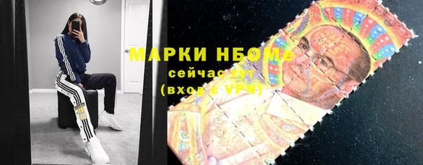 гидра Вяземский