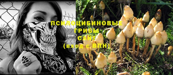гидра Вяземский